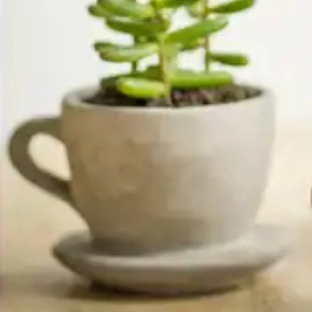🎁Like New As is Raz Imports concrete Fern? Planter